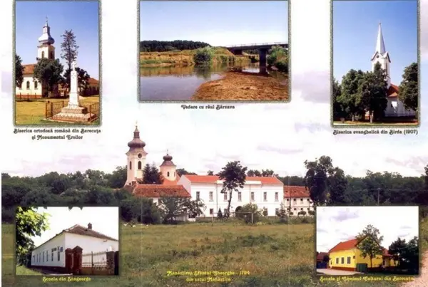 Primaria Birda