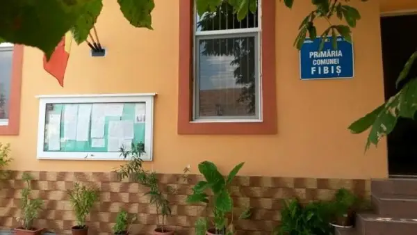 Primaria Fibis