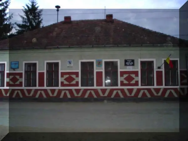 Primaria Margina