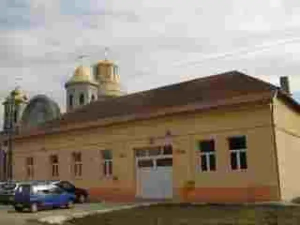 Primaria Peciu Nou