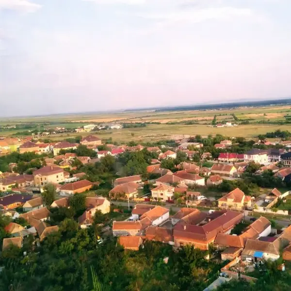 Primaria Recas