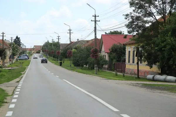 Primaria Sanandrei
