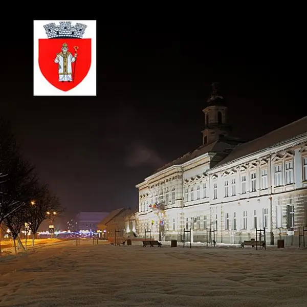 Primaria Sannicolau Mare
