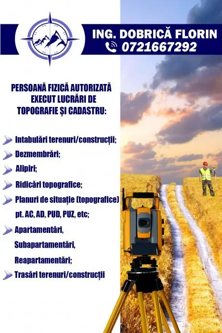 Dobrica Florin PFA