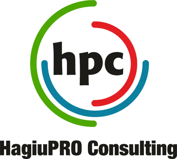 HagiuPRO Consulting