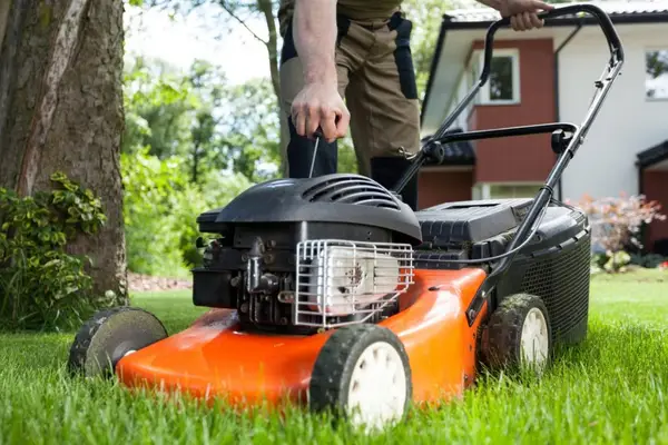 Masina de tuns iarba: electrica sau pe benzina? Afla cum sa faci cea mai buna alegere pentru gradina ta!