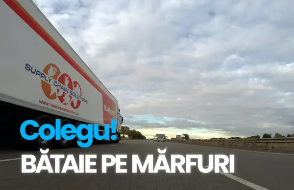 Startupul Clujean Yload care promite că vor digitaliza transporturile de mărfuri folosind inteligența artificială