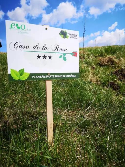Plantăm fapte bune în România crește suprafața împădurită a țării