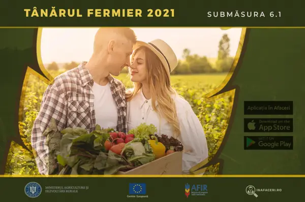 Fonduri si finantari pentru afacerea ta