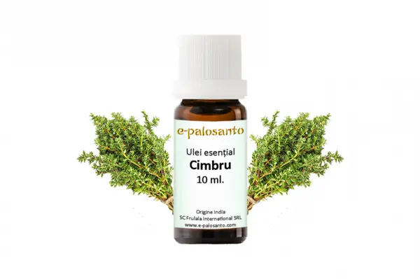 Ulei de cimbru 10 ml - tot ce trebuie sa stim despre aceasta planta