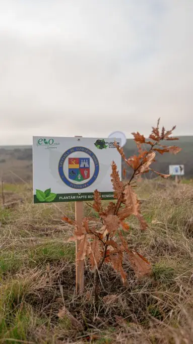Plantăm fapte bune în România - toamna 2021 Cralovăț