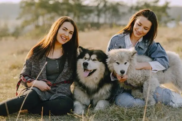 7 aplicatii pentru iubitorii de caini care au un animal de companie