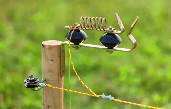 Gard electric pentru câine: animalul de companie va fi mereu în siguranță