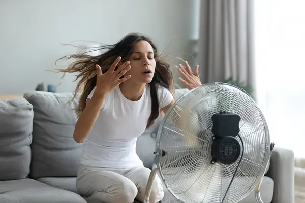 Cum să te răcorești pe timpul verii