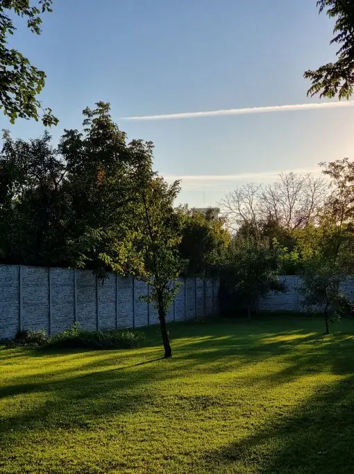 Întreținerea spațiilor verzi - necesitate sau moft?