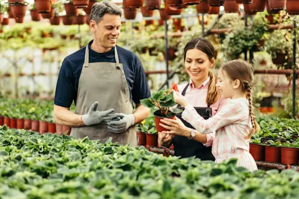 Cum amenajezi un family center: investitii utile