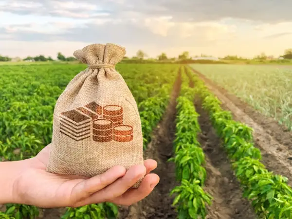 Tipuri de cheltuieli într-o fermă: când să apelezi la creditul agricol