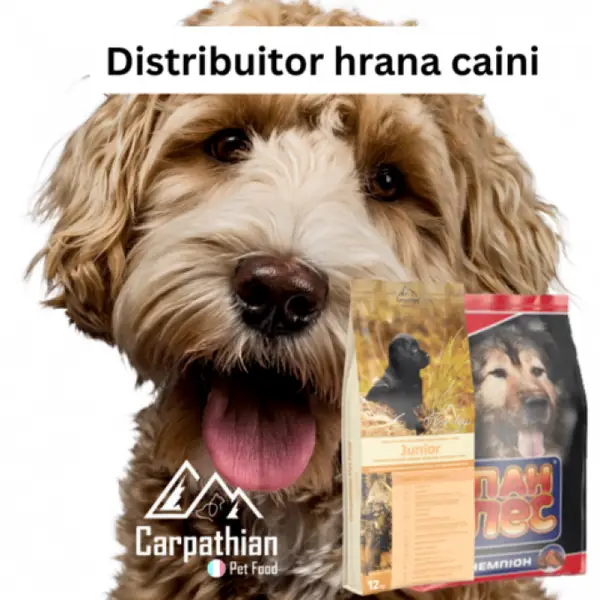 Distribuitor hrana caini