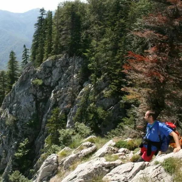 10 idei de activitati pentru o zi torida de vara