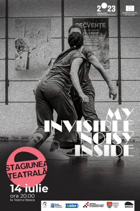 My invisible noisy inside