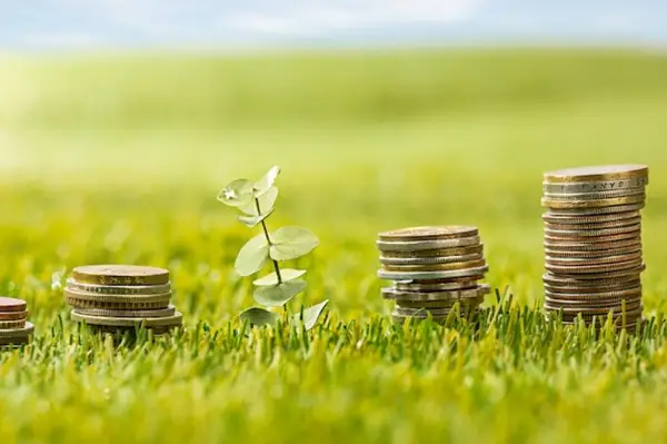 Sfaturi pentru alegerea celei mai potrivite instituții financiare pentru un credit agricol