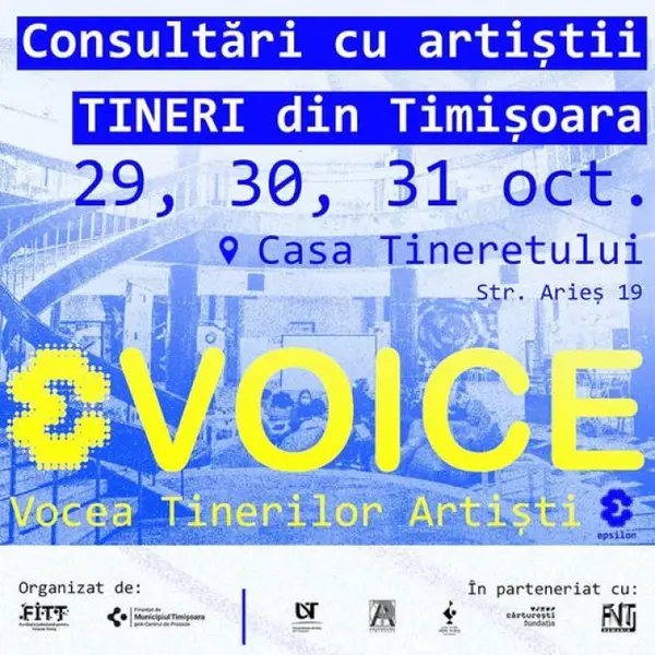 Consultari cu tinerii artisti din Timisoara