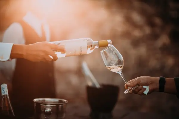 Descoperă cele mai frumoase crame din România și bucură-te de degustări de excepție