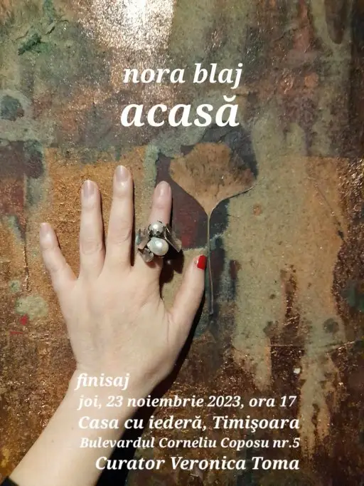 Nora Blaj - Acasa