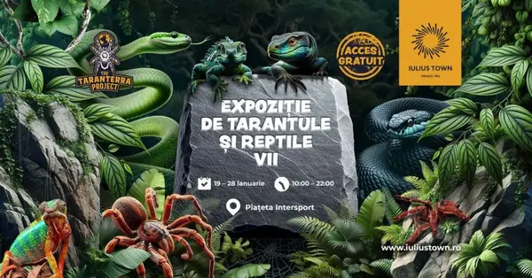 Expozitie de tarantule si reptile vii