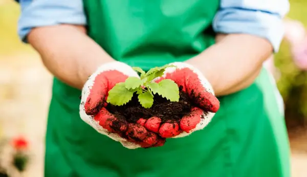 Remedii naturale pentru tratarea insomniei: descoperă cele mai eficiente metode