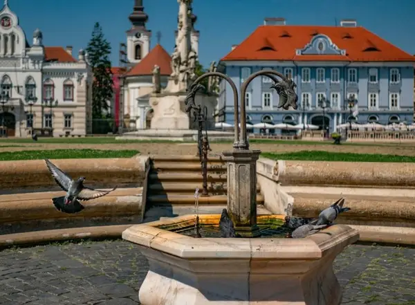 6 activități distractive pe care le poți face în Timișoara
