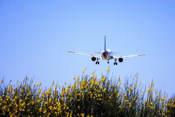 Sfaturi pentru călătorii cu avionul fără probleme