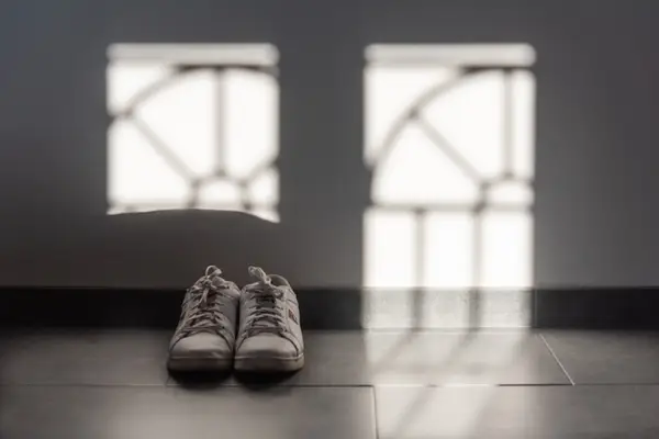 Alegerea perfectă pentru fitness și modă - ghidul cumpărătorului pentru pantofii adidași