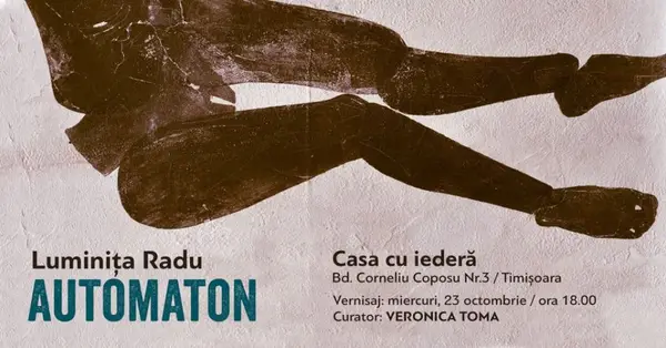 Automaton - Luminita Radu