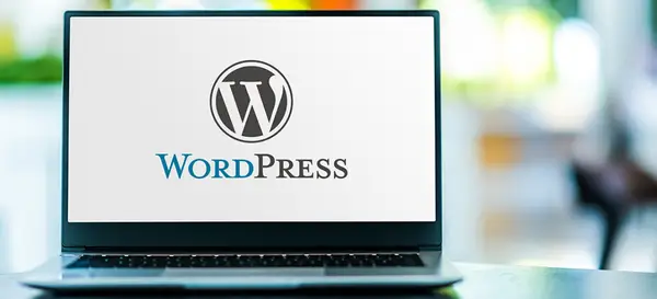 Avantajele WordPress: ce beneficii aduce pentru afacerea ta online