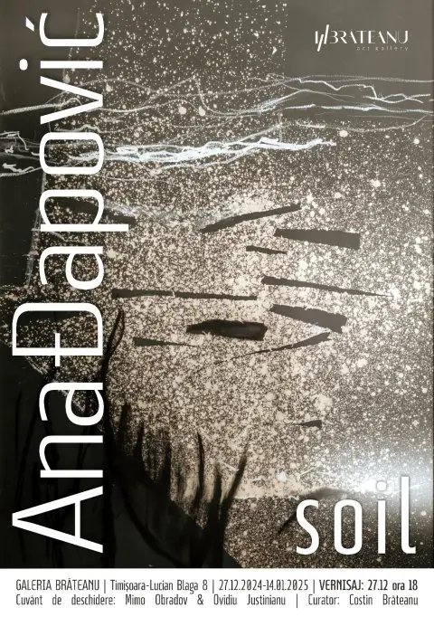 Expozitia Soil - Ana Dapovic