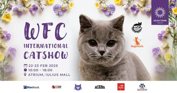 WCF International Cat Show