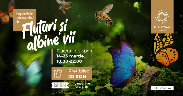 Expozitie de fluturi si albine vii