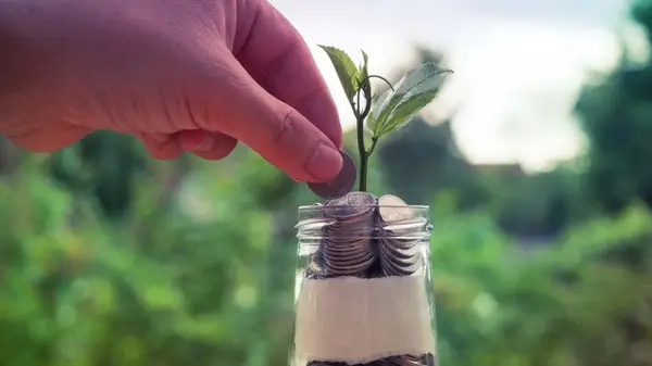 Ce alternative financiare au agricultorii pentru a-și susține afacerea?