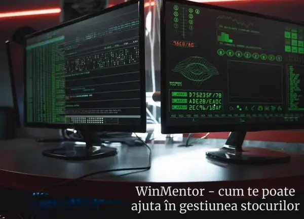 WinMentor și felul în care te poate ajuta acest soft ERP în gestiunea pe termen lung a stocurilor