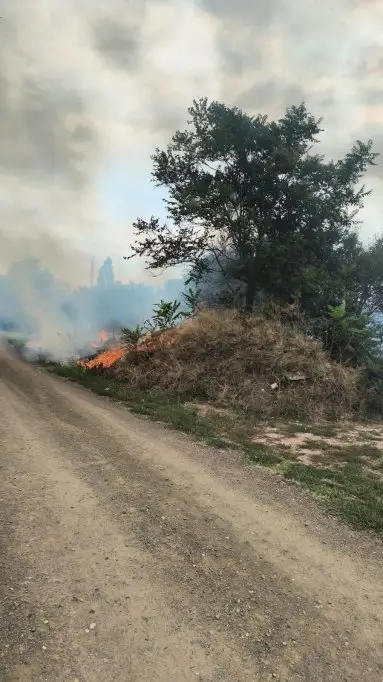 Un bărbat fără adăpost, suspectat că a dat foc gunoaielor pe strada Taborului, a fost internat la Psihiatrie
