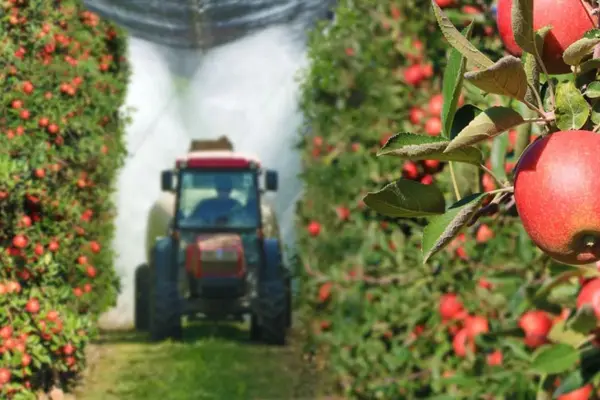 Gestionarea integrată a dăunătorilor: sinergia dintre produsele de protecție a plantelor și strategiile agronomice