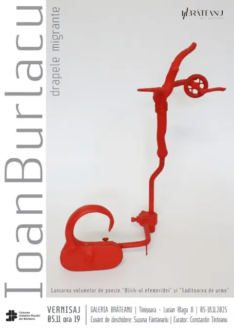 Expozitia drapele migrante, Ioan Burlacu