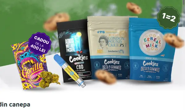 Ghid complet pentru alegerea produselor CBD de calitate