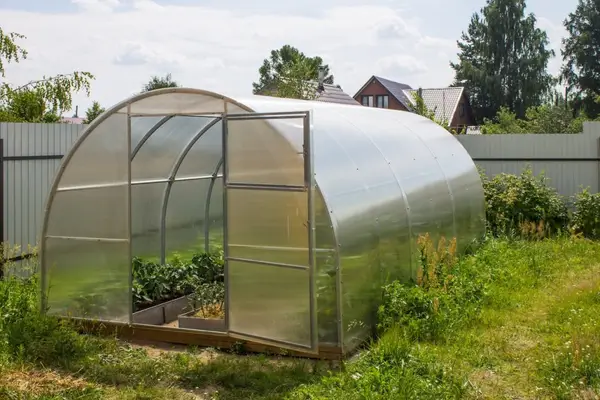 Cum să alegi o seră pentru grădina ta și cum să-ți organizezi plantele