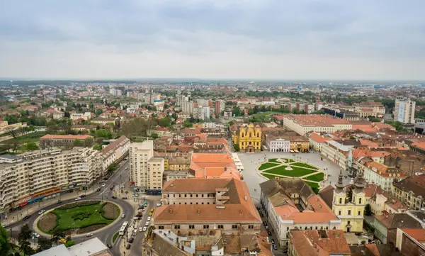 De la Piața Unirii în topul Google: cum să pui afacerea ta pe harta digitală a Timișoarei