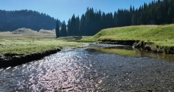 Muzica Apusenilor