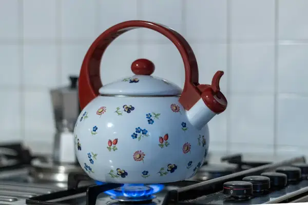 De ce mulți români încă aleg plita pe gaz în 2026, deși inducția domină piața