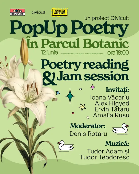 PopUp Poetry si Flash Fiction 30