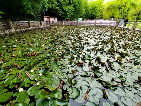 Băi termale aproape de Timișoara. Unde te duci și pentru ce te ajută